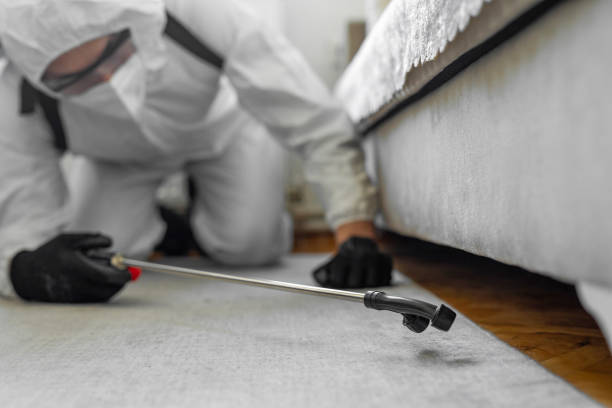 Professional Bed Bug Control technician working in Clearwater County County, ID